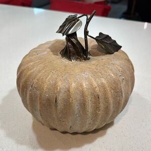 Pottery Barn Fall Thanksgiving Harvest Halloween Medium Weathered Stone Pumpkin